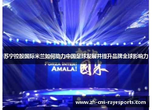 苏宁控股国际米兰如何助力中国足球发展并提升品牌全球影响力