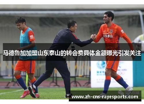 马德鲁加加盟山东泰山的转会费具体金额曝光引发关注