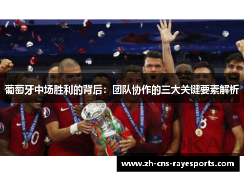 葡萄牙中场胜利的背后：团队协作的三大关键要素解析