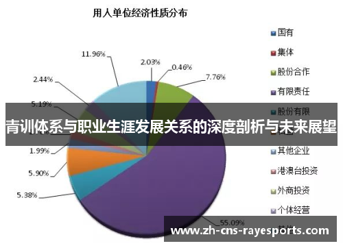 青训体系与职业生涯发展关系的深度剖析与未来展望 青训体系与职业生涯发展关系的深度剖析与未来展望