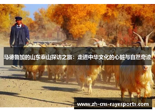 马德鲁加的山东泰山探访之旅:走进中华文化的心脏与自然奇迹 马德鲁加的山东泰山探访之旅:走进中华文化的心脏与自然奇迹