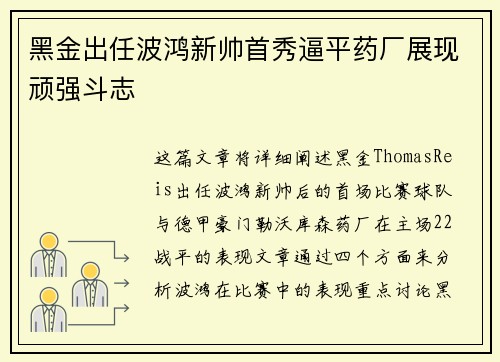 黑金出任波鸿新帅首秀逼平药厂展现顽强斗志 黑金出任波鸿新帅首秀逼平药厂展现顽强斗志